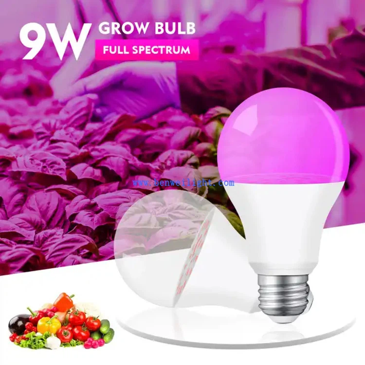 E27 Full Spectrum Led Bulb 1 E27 Full Spectrum Led Bulb 1