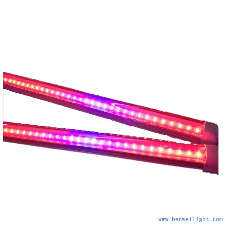 Poate fi folosită orice lumină ca lumină de creștere