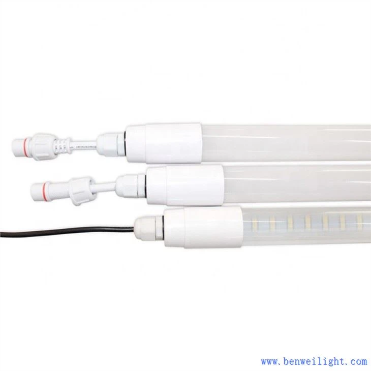 light in poultry