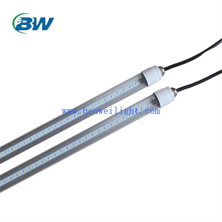 Iluminat pentru pasăre