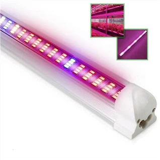 Cultivați lumina la Home Depot