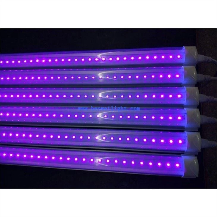 Tube Light Black