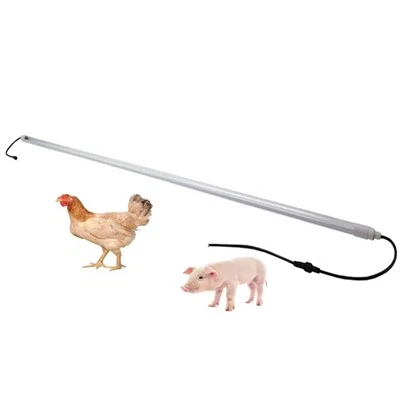 Lumini LED de interior