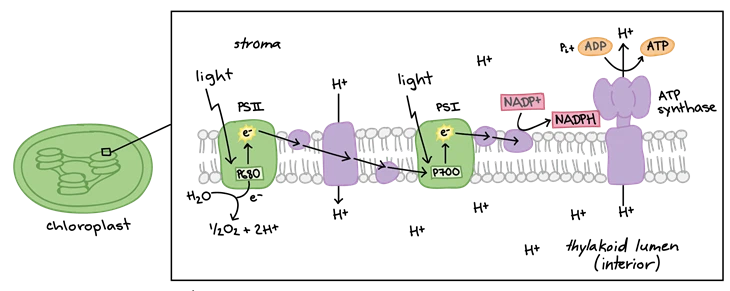 info-730-291 info-730-291