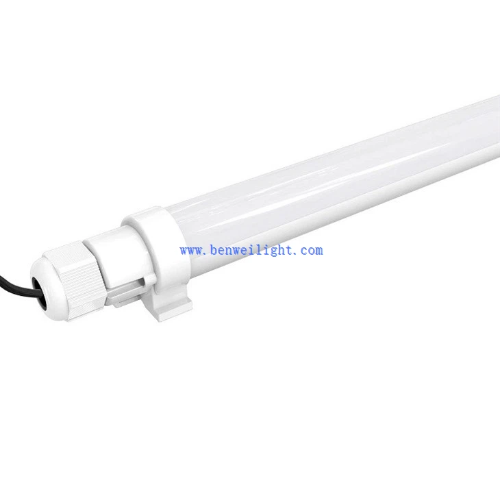mushroom grow light (2)