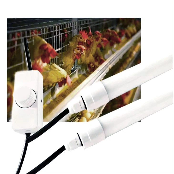 Tuburi LED pentru păsări de curte rezistente la apă