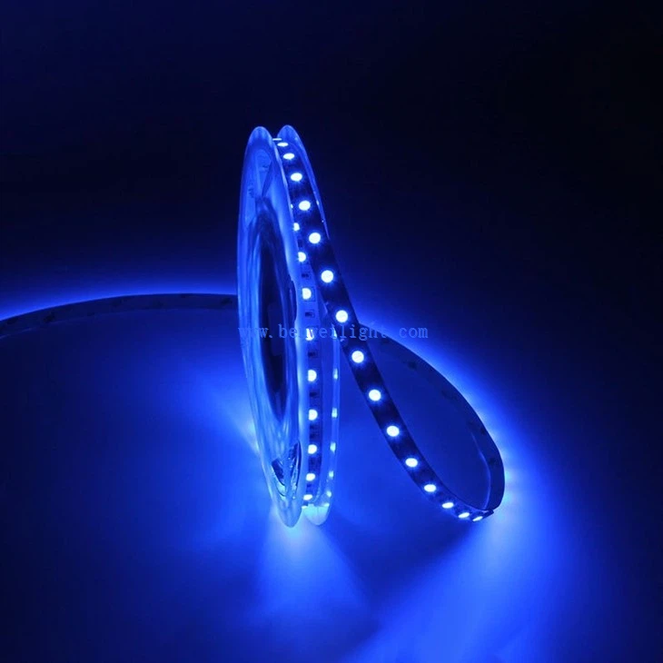 5050 24V RGB Constant Current LED Strip Light