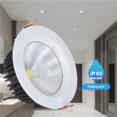 Downlight încastrat Ledinaire