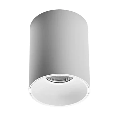 Downlight montat la suprafață
